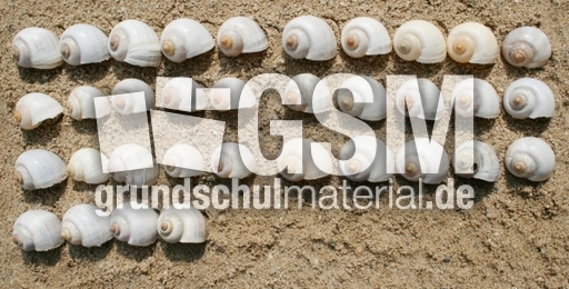 Schneckenhäuser-34.jpg